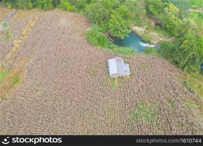 Aerial top view of dry grass, rice and crops field with green mountain hill in agriculture concept. Nature landscape background in Thailand. Harvest. drought.