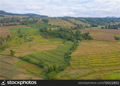 Aerial top view of dry paddy rice terraces, green agricultural fields in countryside or rural area, mountain hills valley in Asia, Thailand. Nature landscape background. Crops harvest. drought