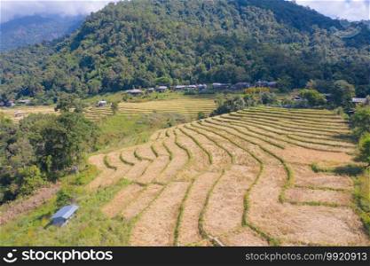 Aerial top view of dry paddy rice terraces, green agricultural fields in countryside, mountain hills valley in Asia, Pabongpieng, Chiang Mai, Thailand. Nature landscape. Crops harvest. drought