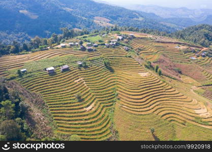 Aerial top view of dry paddy rice terraces, green agricultural fields in countryside, mountain hills valley in Asia, Pabongpieng, Chiang Mai, Thailand. Nature landscape. Crops harvest. drought