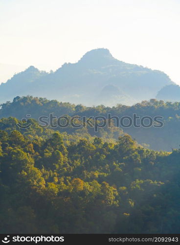 Aerial top view of forest trees and green mountain hills with sea fog, mist and clouds. Nature landscape background, Thailand.