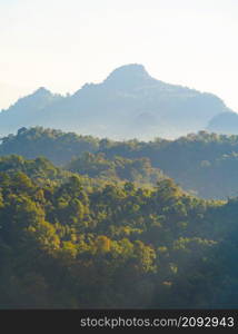 Aerial top view of forest trees and green mountain hills with sea fog, mist and clouds. Nature landscape background, Thailand.