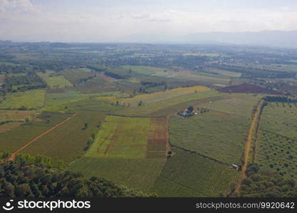 Aerial top view of fresh grass, rice and crops field with green mountain hill in agriculture concept. Nature landscape background in Thailand. harvest