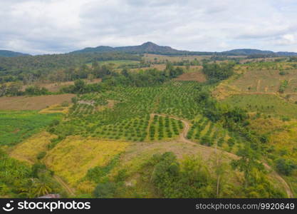 Aerial top view of fresh grass, rice and crops field with green mountain hill in agriculture concept. Nature landscape background in Thailand. harvest