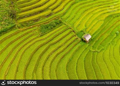 Aerial top view of fresh paddy rice terraces, green agricultural fields in countryside or rural area of Mu Cang Chai, mountain hills valley at sunset in Asia, Vietnam. Nature landscape background.