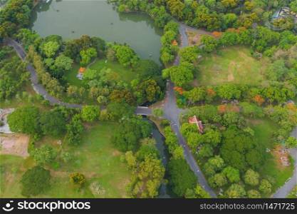 Aerial top view of green trees in Lumpini park garden and reflection. Green eco area in smart urban city at noon, Bangkok, Thailand. Environment nature landscape background.