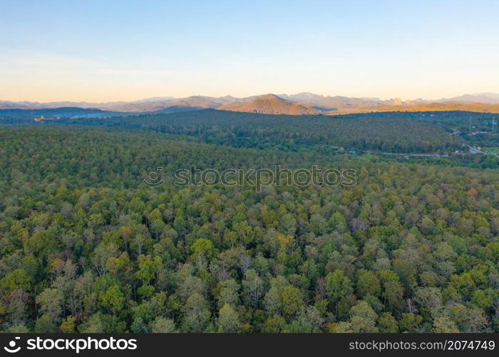 Aerial top view of lush green trees from above in tropical forest in national park and mountain or hill in summer season in Thailand. Natural landscape. Pattern texture background.