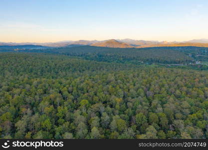 Aerial top view of lush green trees from above in tropical forest in national park and mountain or hill in summer season in Thailand. Natural landscape. Pattern texture background.