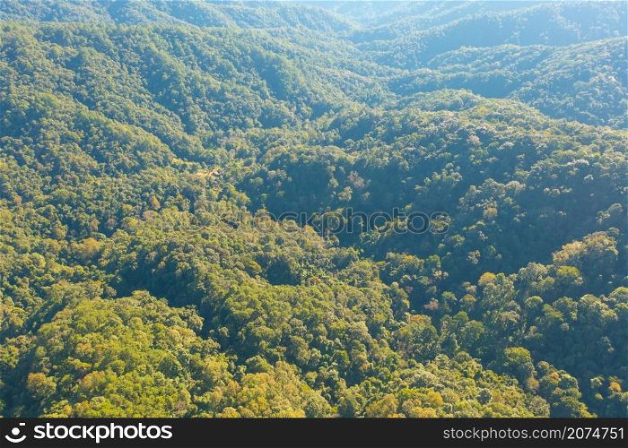 Aerial top view of lush green trees from above in tropical forest in national park and mountain or hill in summer season in Thailand. Natural landscape. Pattern texture background.