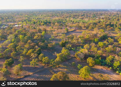 Aerial top view of lush green trees from above in tropical forest in national park in summer season. Natural landscape. Pattern texture background.