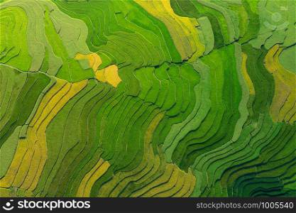 Aerial top view of paddy rice terraces, green agricultural fields in countryside or rural area of Mu Cang Chai, Yen Bai, mountain hills valley on summer in Asia, Vietnam. Nature landscape background.