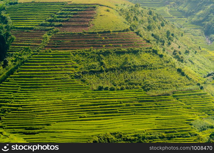 Aerial top view of paddy rice terraces, green agricultural fields in countryside or rural area of Mu Cang Chai, Yen Bai, mountain hills valley at sunset in Asia, Vietnam. Nature landscape background.