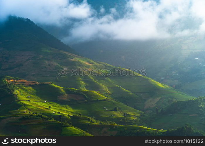 Aerial top view of paddy rice terraces, green agricultural fields in countryside or rural area of Mu Cang Chai, Yen Bai, mountain hills valley at sunset in Asia, Vietnam. Nature landscape background.