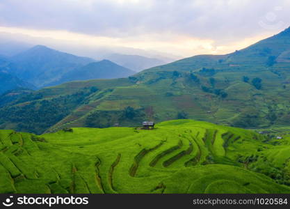 Aerial top view of paddy rice terraces, green agricultural fields in countryside or rural area of Mu Cang Chai, Yen Bai, mountain hills valley at sunset in Asia, Vietnam. Nature landscape background.