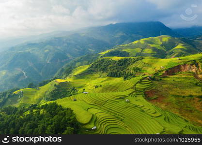 Aerial top view of paddy rice terraces, green agricultural fields in countryside or rural area of Mu Cang Chai, Yen Bai, mountain hills valley at sunset in Asia, Vietnam. Nature landscape background.