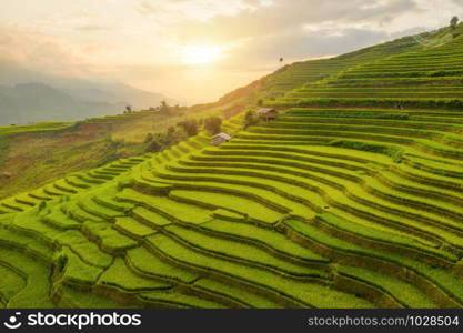 Aerial top view of paddy rice terraces, green agricultural fields in countryside or rural area of Mu Cang Chai, Yen Bai, mountain hills valley at sunset in Asia, Vietnam. Nature landscape background.