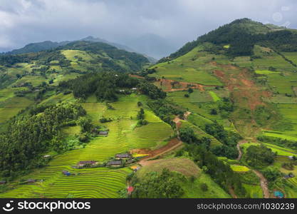 Aerial top view of paddy rice terraces, green agricultural fields in countryside or rural area of Mu Cang Chai, Yen Bai, mountain hills valley at sunset in Asia, Vietnam. Nature landscape background.