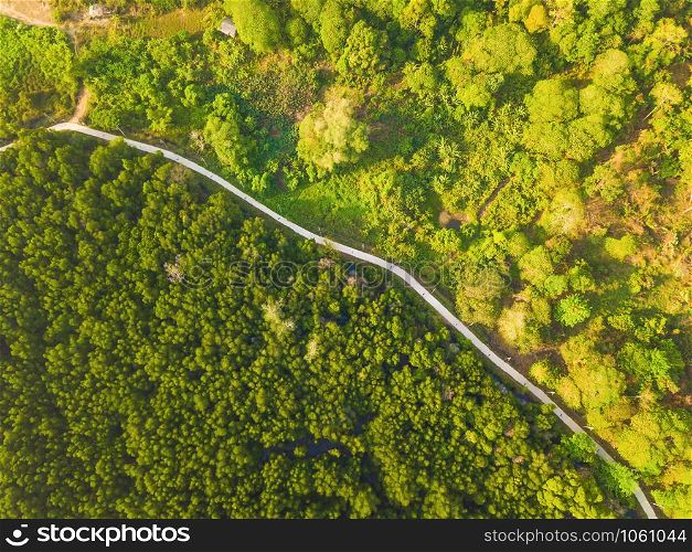 Aerial top view of path way road with lush green trees from above in tropical forest in national park and mountain or hill in summer season in Thailand. Natural landscape. Pattern texture background.