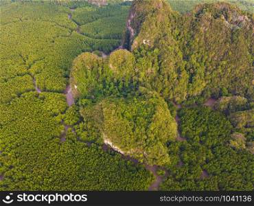 Aerial top view of Samet Nangshe and tropical green forest trees at sunset with Andaman sea in Phang Nga Bay in summer, Thailand in travel trip and holidays vacation. Natural landscape background.
