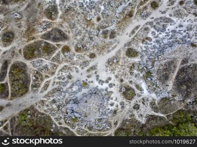 Aerial top view of Stone Forest near Varna, Bulgaria, Pobiti kamani, rock phenomenon