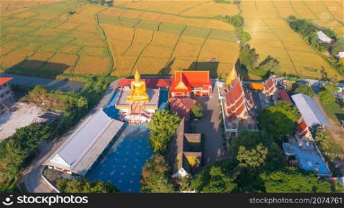 Aerial top view of temple with fresh paddy rice, green agricultural field in countryside or rural area in Asia. Nature landscape background.