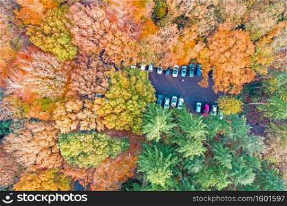 Aerial topshot from a parking in the forest in fall