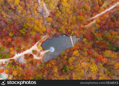Aerial view beautiful orange and red autumn forest.