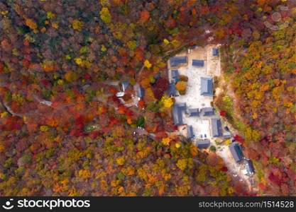 Aerial view beautiful orange and red autumn forest.
