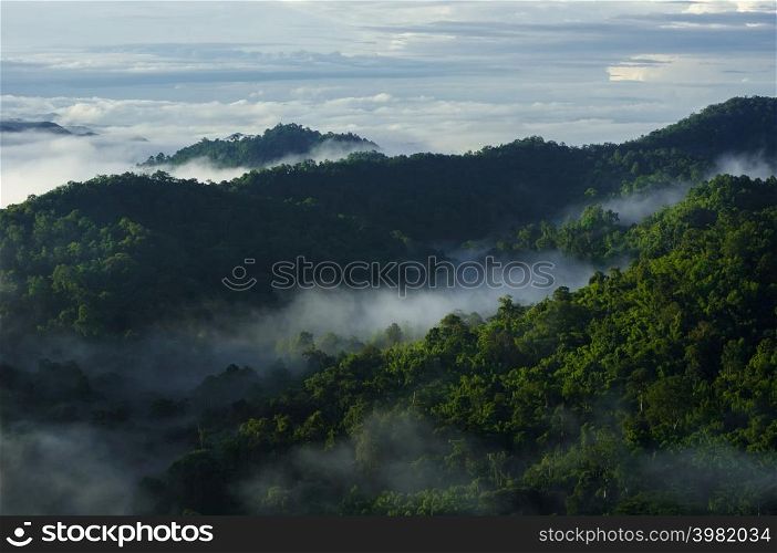 Aerial view beautiful sea of fog in the morning forest with green mountains. Pang Puay, Mae Moh, Lampang, Thailand.. Fog in forest.
