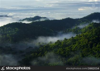 Aerial view beautiful sea of fog in the morning forest with green mountains. Pang Puay, Mae Moh, Lampang, Thailand.. Fog in forest.