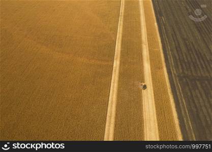 aerial view. harvesting. top view of the harvester on a field mows corn