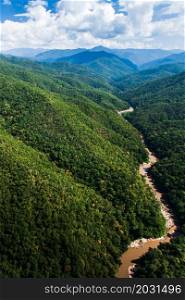Aerial view landscape of Teak forest and a river near Thailand-Myanmar border. Green Teak forest in rain season. Pure tropical forest. Environment, climate change concepts. Focus on green plants.