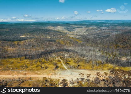 Aerial view of a dirt road running through a forest affected by bushfire in the Central Tablelands in regional New South Wales in Australia