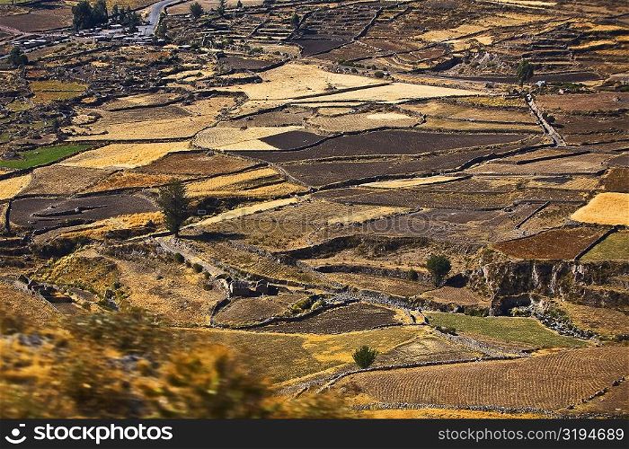 Aerial view of a field, Chivay, Arequipa, Peru