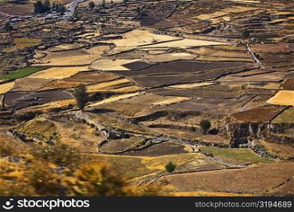Aerial view of a field, Chivay, Arequipa, Peru