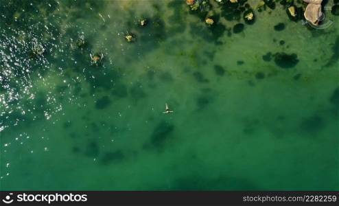 Aerial view of a girl swimming in sea with Algae green water by the rocky beach. Coast of sea in summer. Top view. Landscape with clear azure water, stones and rocks. Nature background.. Aerial view of a girl swimming in sea with Algae green water by the rocky beach. Coast of sea in summer. Top view. Landscape with clear azure water, stones and rocks. Nature background