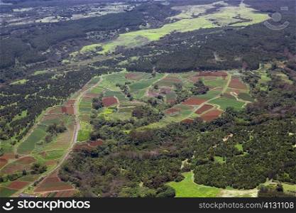 Aerial view of a landscape, Hilo, Big Island, Hawaii Islands, USA