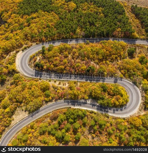 Aerial view of a road in forest at autumn season