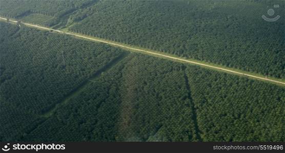 Aerial view of a road passing through landscape, Yoro, Honduras