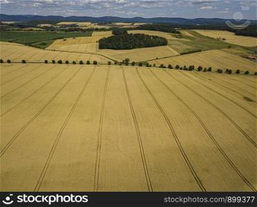 Aerial view of a yellow crops field on a sunny day