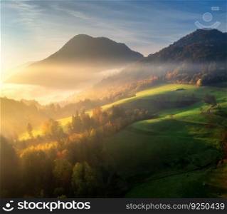 Aerial view of alpine meadows and mountains in low clouds at golden sunrise in summer. Top drone view of hills with green grass, trees in fog, house, colorful sky at dawn in Slovenia. Mountain valley	