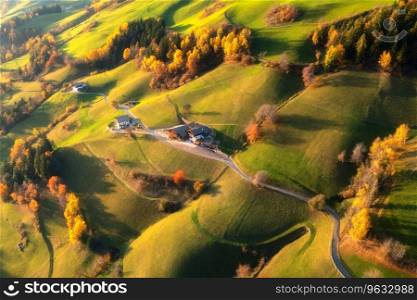Aerial view of amazing green alpine meadows, orange trees on the hills, buildings in mountain village at sunset in autumn. Santa Magdalena, Dolomites, Italy. Top view of houses, road, forest in fall 