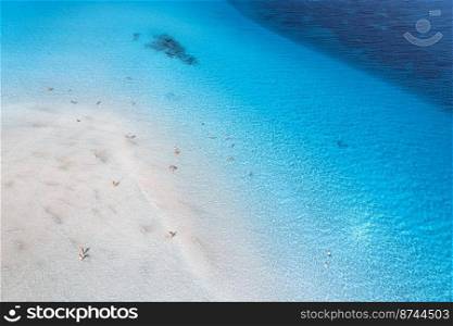 Aerial view of amazing sea coast. Top view from drone of beach with white sand, swimming people in blue transparent water at sunny day. Summer in La Pelosa beach, Sardinia, Italy. Tropical landscape