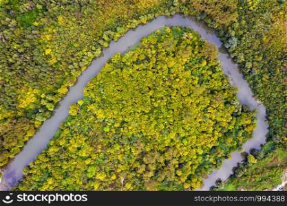 Aerial View Of Autumn Forest And River Curve. Birds Eye View
