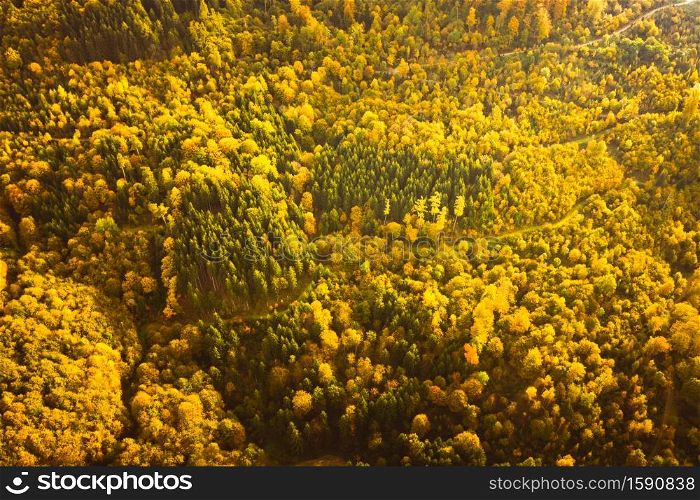 Aerial view of autumn forest in South Styrias Green hart of Austria. View at hiking paths in clolorfull alpine forest.. Aerial view of autumn forest in South styrias Green hart of Austria