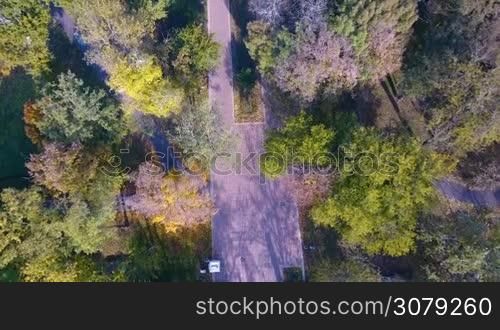 Aerial view of autumnal nature scenery in city park. Beauty nature scene at fall season.