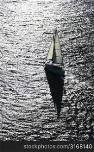Aerial view of backlit sailboat in Sydney, Australia.
