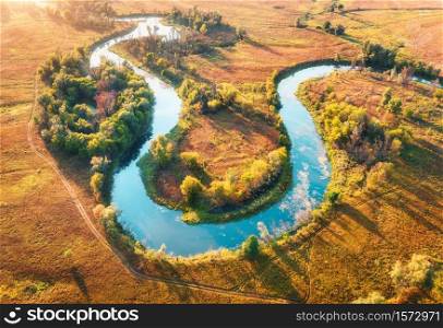 Aerial view of beautiful curving river at sunrise in autumn. View from air. Turns of river, meadows, orange grass, trees at dawn. Colorful aerial landscape of river coast at sunset in fall. Top view. Aerial view of curving river at sunrise in autumn. View from air