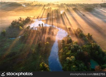 Aerial view of beautiful curving river in fog at sunrise in autumn in Ukraine. Turns of river, meadows, orange grass, foggy trees, golden sun rays at dawn in fall. Colorful aerial landscape. Top view