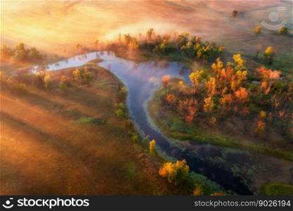 Aerial view of beautiful curving river in fog at sunrise in autumn in Ukraine. Turns of river, meadows, orange grass, foggy trees, golden sun rays at dawn in fall. Colorful landscape. Top drone view